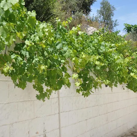 Appart hôtel Lacivert Boutique 4*