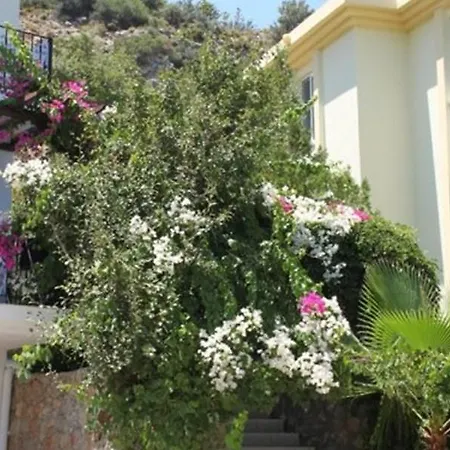 Lejlighedshotel Lacivert Boutique